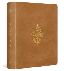 esv journaling study bible (trutone over board, nubuck caramel) holy bible with note space